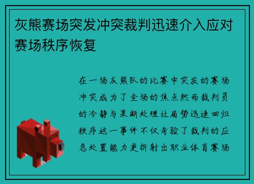 灰熊赛场突发冲突裁判迅速介入应对赛场秩序恢复