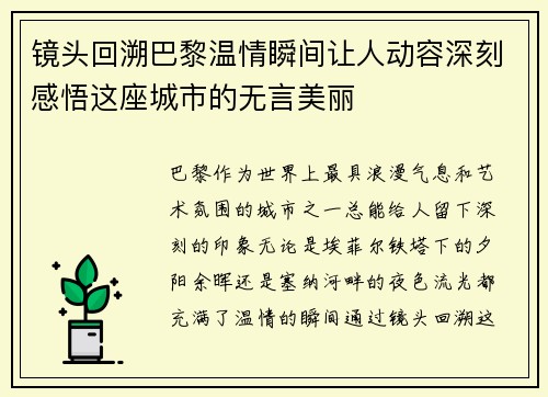 镜头回溯巴黎温情瞬间让人动容深刻感悟这座城市的无言美丽